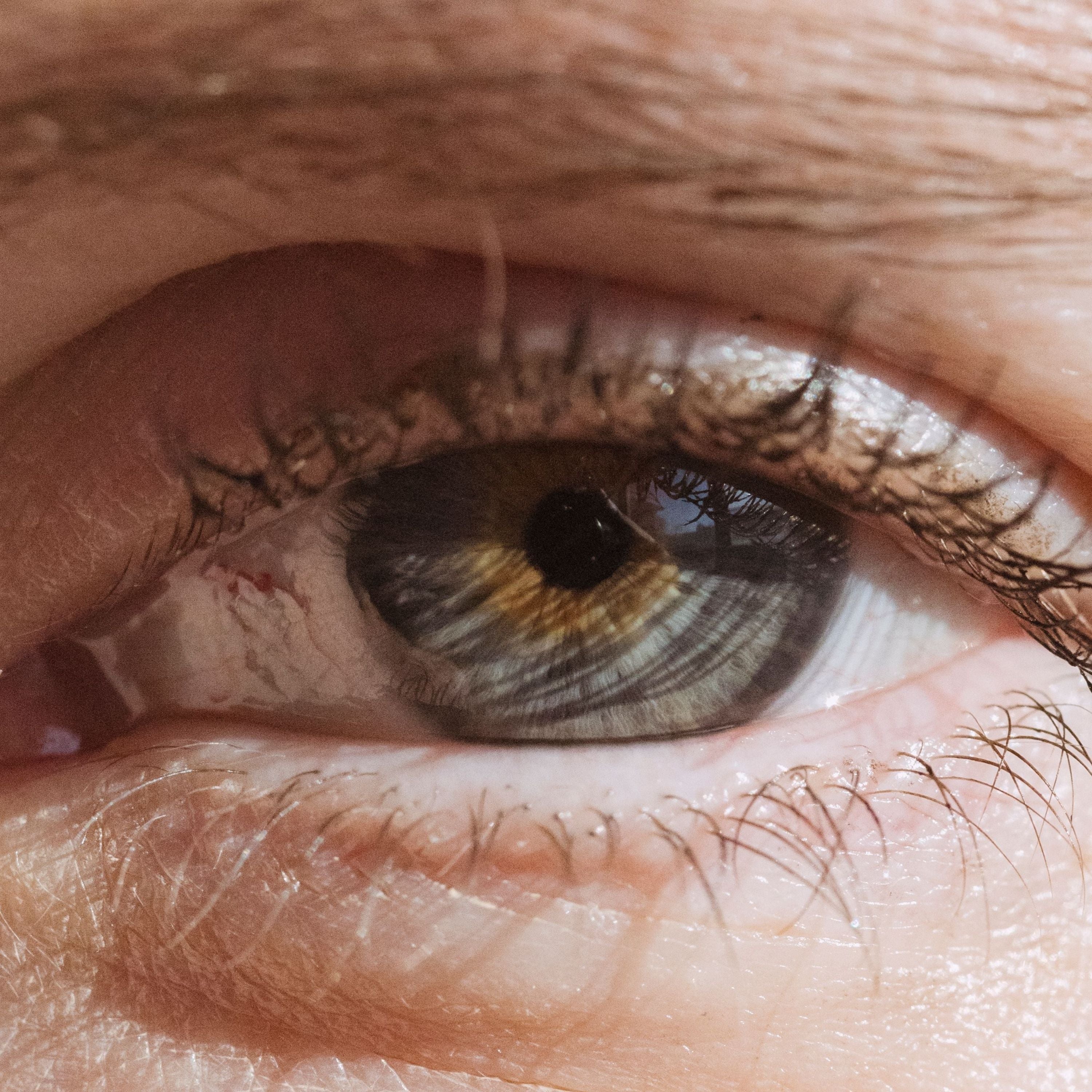 DHA et Vision : pourquoi vos yeux ont, eux aussi, besoin de bonnes graisses